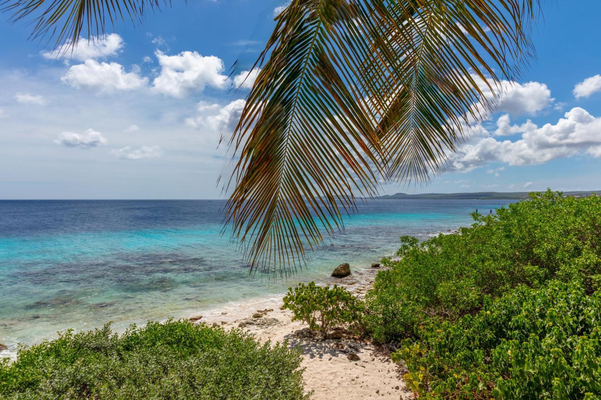 One Ocean Boutique Apartments & Suites Bonaire 克拉伦代克 外观 照片