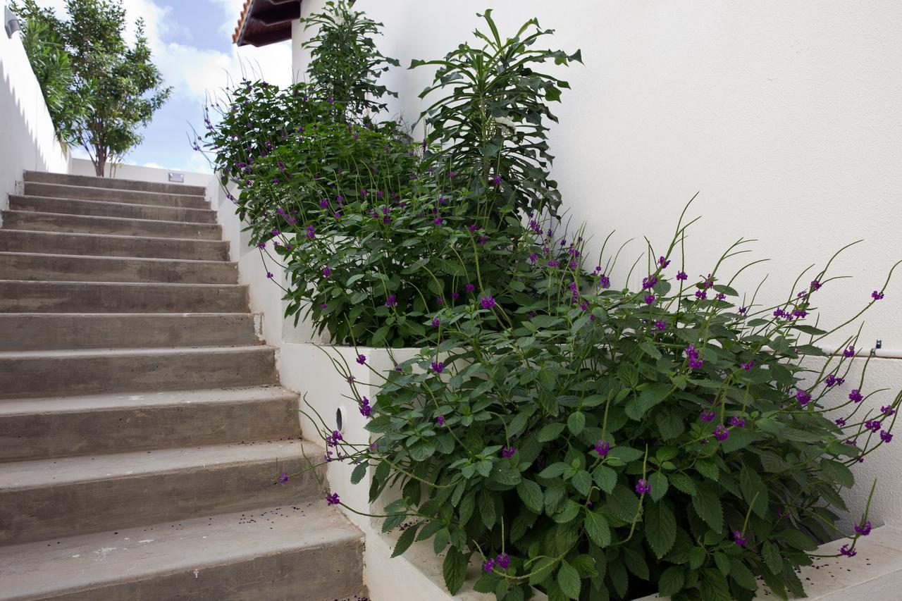 One Ocean Boutique Apartments & Suites Bonaire 克拉伦代克 外观 照片
