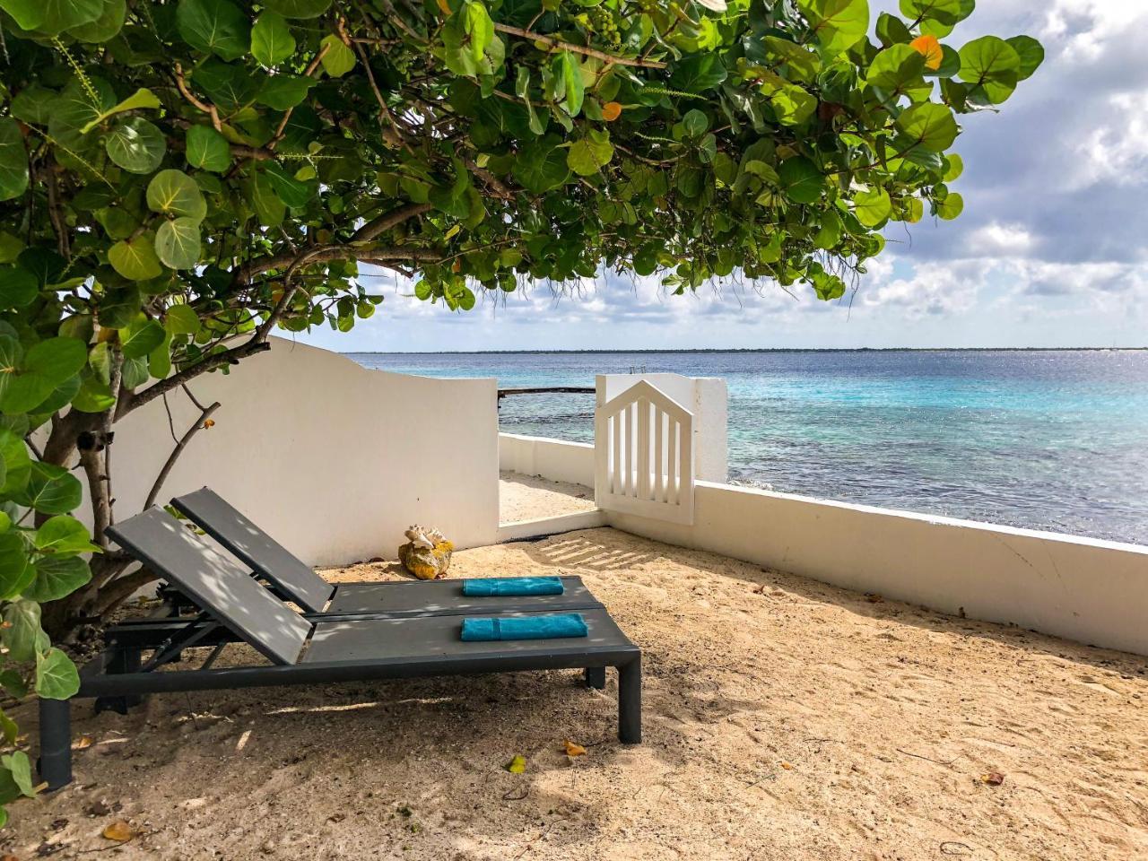 One Ocean Boutique Apartments & Suites Bonaire 克拉伦代克 外观 照片
